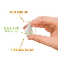 14 /16 Cm Allium Wild About Purple Blend Mixed Flower Bulbs (Bag Of 25) -Garden State Bulb garden state bulb flower bulbs ecf 04 25 4f 1000