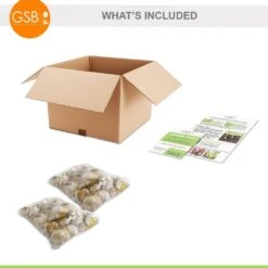 14 /16 Cm Allium Wild About Purple Blend Mixed Flower Bulbs (Bag Of 50) -Garden State Bulb garden state bulb flower bulbs ecf 04 50 c3 1000