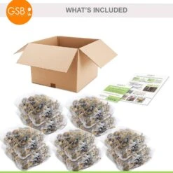 14/16 Cm Daffodil Double Mixed Flower Bulbs (Bag Of 250) -Garden State Bulb garden state bulb flower bulbs ecf 05 250 c3 1000