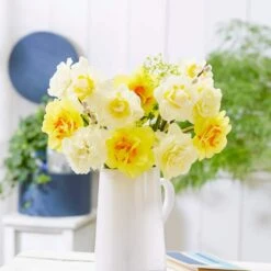 14/16 Cm Daffodil Double Mixed Flower Bulbs (Bag Of 50) -Garden State Bulb garden state bulb flower bulbs ecf 05 50 31 1000