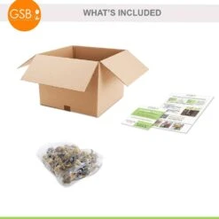 12/14 Cm Daffodil Naturalizing Mixed Flower Bulbs (Bag Of 25) -Garden State Bulb garden state bulb flower bulbs ecf 08 25 c3 1000