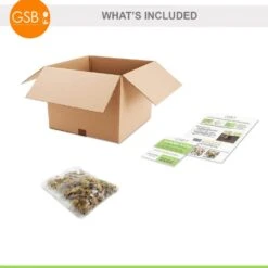 8/9 Cm Dutch Iris Hollandica Bulbs Mixed (Bag Of 50) -Garden State Bulb garden state bulb flower bulbs ecf 10 50 c3 1000