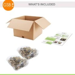 12/14 Cm Narcissus Rock Garden Mix Daffodil Flower Bulbs (Bag Of 50) -Garden State Bulb garden state bulb flower bulbs ecf 103 50 02 76 1000