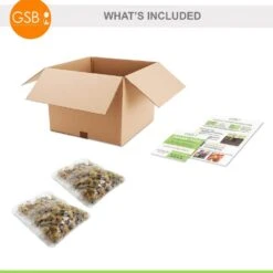 8/9 Cm Dutch Crocus Blue Moon Mixed Flower Bulbs (Bag Of 100) -Garden State Bulb garden state bulb flower bulbs ecf 11 100 c3 1000