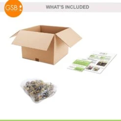 12/14 Cm, Jetfire Mix Cyclamineus Daffodil Flower Bulbs (Bag Of 25) -Garden State Bulb garden state bulb flower bulbs ecf 117 25 01 76 1000