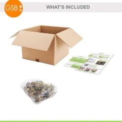 14/16cm, Pheasant's Eye Daffodil Flower Bulbs, White (Bag Of 25) -Garden State Bulb garden state bulb flower bulbs ecf 119 25 01 76 1000