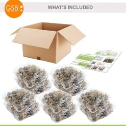 14/16 Cm, Pheasant's Eye Daffodil Flower Bulbs, White (Bag Of 250) -Garden State Bulb garden state bulb flower bulbs ecf 119 250 10 76 1000