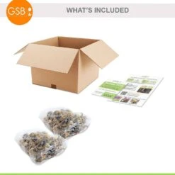 14/16 Cm, Pheasant's Eye Daffodil Flower Bulbs, White (Bag Of 50) 16 14/16 Cm, Pheasant's Eye Daffodil Flower Bulbs, White (Bag Of 50) -Garden State Bulb garden state bulb flower bulbs ecf 119 50 02 76 1000