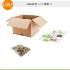 8/9 Cm Dutch Crocus Bulbs Large Flowering Mixed (Bag Of 50) -Garden State Bulb garden state bulb flower bulbs ecf 12 50 c3 1000