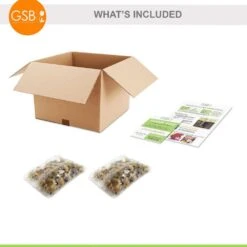 5/Plus Cm, Blue Giant Chionodoxa Glory Of The Snow Flower Bulbs (Bag Of 50) -Garden State Bulb garden state bulb flower bulbs ecf 123 50 01 76 1000