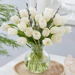 12/+ Cm White Flag Triumph Tulip Flower Bulbs (Bag Of 50) -Garden State Bulb garden state bulb flower bulbs ecf 126 50 02 31 1000