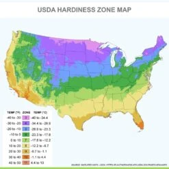 12/ Cm, Red And Orange Mix Darwin Hybrid Tulip Flower Bulbs (Bag Of 25) 15 12/ Cm, Red And Orange Mix Darwin Hybrid Tulip Flower Bulbs (Bag Of 25) -Garden State Bulb garden state bulb flower bulbs ecf 129 25 01 fa 1000