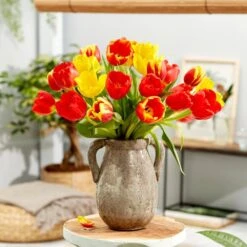 12/+ Cm Yellow And Red Mix Darwin Hybrid Tulip Flower Bulbs (Bag Of 250) -Garden State Bulb garden state bulb flower bulbs ecf 130 250 10 31 1000