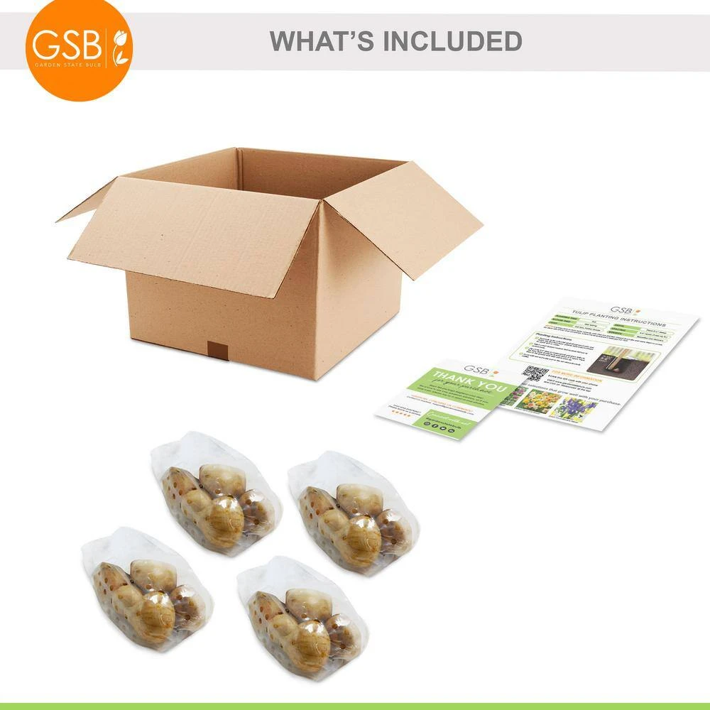 12/+ Cm Hybrid Black Nightmare Single Late Tulip Bulbs (Bag Of 20) 9 12/+ Cm Hybrid Black Nightmare Single Late Tulip Bulbs (Bag Of 20) - Image 7