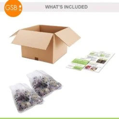 14/15 Cm Hyacinth Bulbs Pink Collection Mixed (Bag Of 50) 11 14/15 Cm Hyacinth Bulbs Pink Collection Mixed (Bag Of 50) -Garden State Bulb garden state bulb flower bulbs ecf 15 50 c3 1000