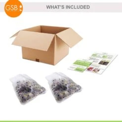 15/16cm, Delft Blue Mixed Hyacinth Flower Bulbs (Bag Of 50) -Garden State Bulb garden state bulb flower bulbs ecf 152 50 02 76 1000