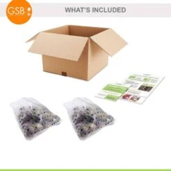 8/10 Cm Pink Wood Hyacinth Flower Bulbs (Bag Of 50) -Garden State Bulb garden state bulb flower bulbs ecf 154 50 01 76 1000