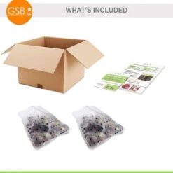 8/10 Cm, Blue Wood Hyacinth Flower Bulbs (Bag Of 50) -Garden State Bulb garden state bulb flower bulbs ecf 155 50 01 76 1000