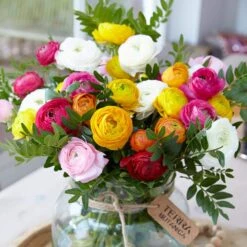 6/7 Cm Ranunculus Bulbs Mixed (Bag Of 50) -Garden State Bulb garden state bulb flower bulbs ecf 16 50 31 1000