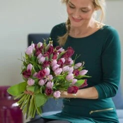 12/+ Cm, Dutch Prince Mix Single Early Tulip Flower Bulbs (Bag Of 50) -Garden State Bulb garden state bulb flower bulbs ecf 42 50 02 31 1000