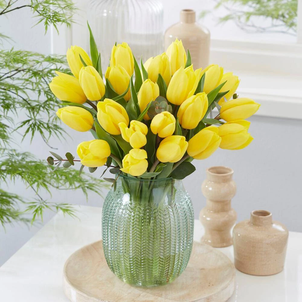 12/+ Cm, Yellow Impression Darwin Hybrid Tulip Flower Bulbs (Bag Of 100) 10 12/+ Cm, Yellow Impression Darwin Hybrid Tulip Flower Bulbs (Bag Of 100) - Image 8