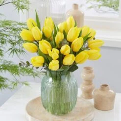 12/+ Cm, Yellow Impression Darwin Hybrid Tulip Flower Bulbs (Bag Of 50) -Garden State Bulb garden state bulb flower bulbs ecf 46 50 02 31 1000