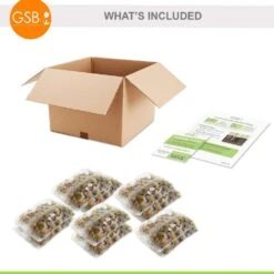 6/Plus Cm, Little Beauty Batalinii Tulip Flower Bulbs (Bag Of 250) -Garden State Bulb garden state bulb flower bulbs ecf 85 250 10 76 1000