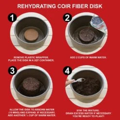 26/28cm Red Double Amaryllis Bulb Kit With White Container -Garden State Bulb garden state bulb flower bulbs ech 05 01 01 44 1000