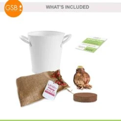 26/28cm Red Double Amaryllis Bulb Kit With White Container -Garden State Bulb garden state bulb flower bulbs ech 05 01 01 77 1000