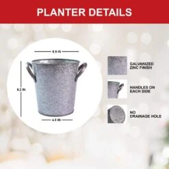 26/28cm Red Double Amaryllis Bulb Gift Kit With Zinc Container -Garden State Bulb garden state bulb flower bulbs ech 07 01 01 66 1000