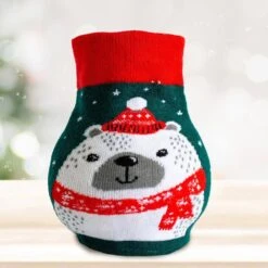 28/30 Cm Red Lion Sweater Amaryllis Flower Bulb, Polar Bear -Garden State Bulb garden state bulb flower bulbs ech 13 01 01 44 1000