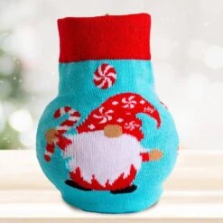 28/30 Cm Minerva Sweater Amaryllis Flower Bulb, Gnome -Garden State Bulb garden state bulb flower bulbs ech 15 01 01 fa 1000