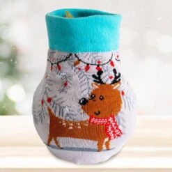 28/30 Cm Minerva Sweater Amaryllis Flower Bulb, Reindeer -Garden State Bulb garden state bulb flower bulbs ech 16 01 01 fa 1000