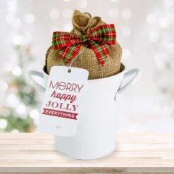 26/28 Cm Galaxy Nymph Double White Amaryllis Bulb Kit With White Container 19 26/28 Cm Galaxy Nymph Double White Amaryllis Bulb Kit With White Container -Garden State Bulb garden state bulb flower bulbs ech 21 01 01 1f 1000