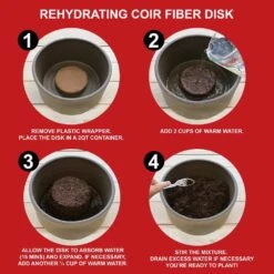 26/28 Cm Galaxy Nymph Double White Amaryllis Bulb Gift Kit With Zinc Container -Garden State Bulb garden state bulb flower bulbs ech 23 01 01 44 1000