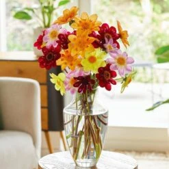 Dahlia Topmix Single Flower Mixed Live Flower Tubers (Bag Of 4) -Garden State Bulb garden state bulb flower bulbs ecs 08 04 01 31 1000