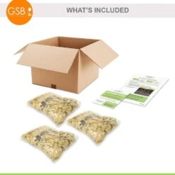 14/16 Cm, Asiatic Lily Sweet Surrender Flower Bulbs (Bag Of 30) -Garden State Bulb garden state bulb flower bulbs ecs 36 30 03 c3 1000