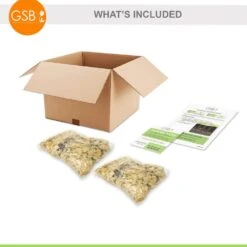 14/16 Cm, Asiatic Lily Yellow Bruse Flower Bulbs (Bag Of 20) -Garden State Bulb garden state bulb flower bulbs ecs 40 20 02 c3 1000