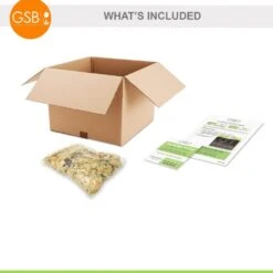 Garden State Bulb -Garden State Bulb garden state bulb flower bulbs ecs 48 10 01 77 1000