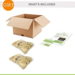 14/16 Cm, Black Escape Calla Lily Flower Bulbs (Bag Of 10) -Garden State Bulb garden state bulb flower bulbs ecs 57 10 02 fa 1000