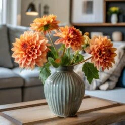 #1, Go-Go Peach Dahlia Flower Bulbs Bare Roots (Bag Of 4) -Garden State Bulb garden state bulb flower bulbs ecs 66 04 01 31 1000