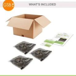 #1, HS Kiss Single Dahlia Flower Bulbs Bare Roots (Bag Of 12) -Garden State Bulb garden state bulb flower bulbs ecs 69 12 03 fa 1000