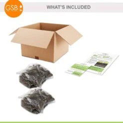 2/3 Eyes, Bowl Of Beauty Peony Flower Bulbs Bare Roots (Bag Of 6) -Garden State Bulb garden state bulb flower bulbs ecs 73 06 02 fa 1000