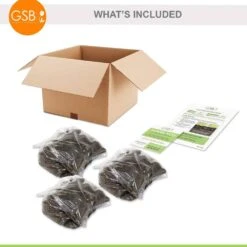 2/3 Eyes, Bowl Of Beauty Peony Flower Bulbs Bare Roots (Bag Of 9) -Garden State Bulb garden state bulb flower bulbs ecs 73 09 03 fa 1000