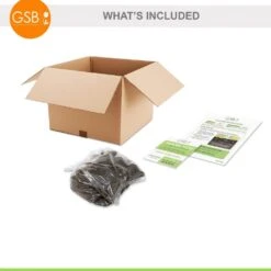 3/5 Eyes, Pink Cora Louise Itoh Peony Flower Bulbs, Live Bare Root (Bag Of 1) -Garden State Bulb garden state bulb flower bulbs ecs 75 01 01 fa 1000