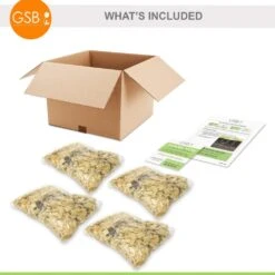 Carolyn Whorton Pink Caladium Bulbs, Bare Roots (Bag Of 40) -Garden State Bulb garden state bulb flower bulbs ecs 82 40 04 fa 1000