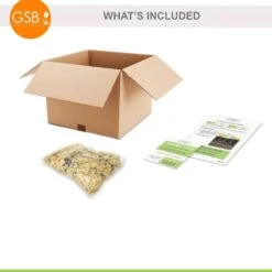 Aaron White Caladium Bulbs, Bare Roots (Bag Of 10) -Garden State Bulb garden state bulb flower bulbs ecs 83 10 01 fa 1000