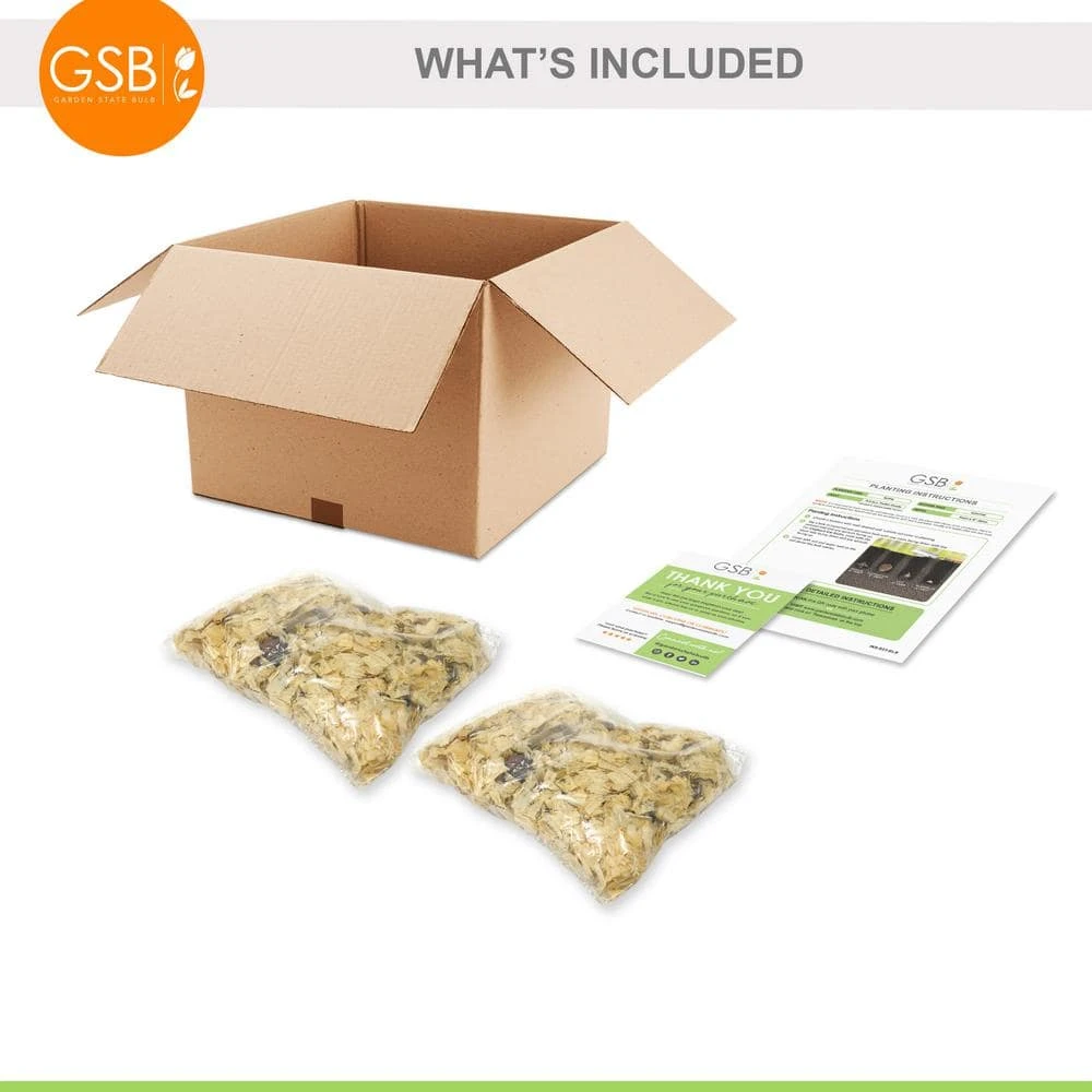 #2, Aaron White Caladium Bulbs, Bare Roots (Bag Of 20) 8 #2, Aaron White Caladium Bulbs, Bare Roots (Bag Of 20) - Image 6