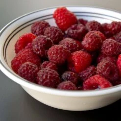 1-Year, Brandywine Raspberry Bare Roots, Non-GMO (Bag Of 2) -Garden State Bulb garden state bulb fruit plants ecs 78 02 02 31 1000