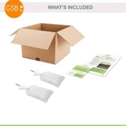 1-Year, Brandywine Raspberry Bare Roots, Non-GMO (Bag Of 2) -Garden State Bulb garden state bulb fruit plants ecs 78 02 02 fa 1000